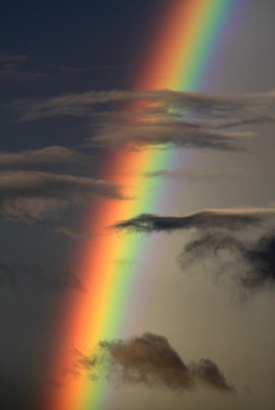 Photo:  Rainbow 6